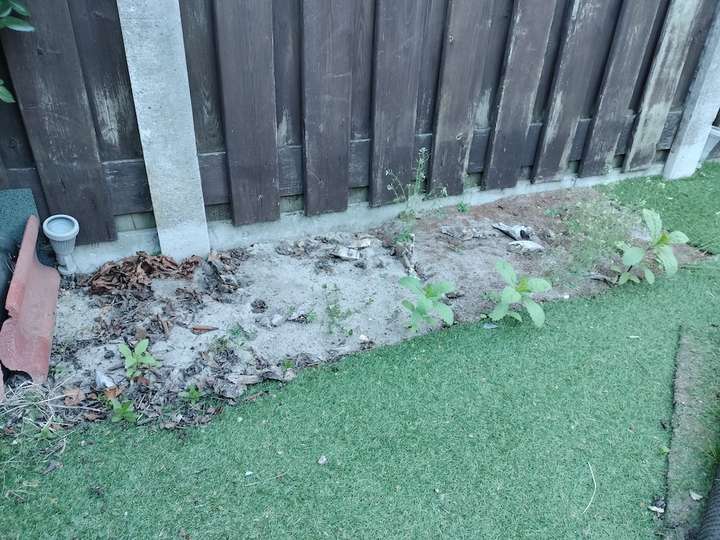 Rectangle de terre nue avec quelques plantes